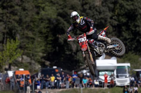 group gay beastiality