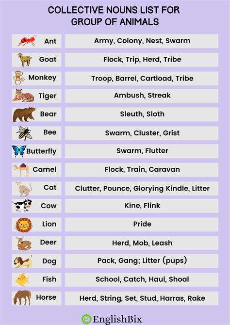 Group Nouns Animals