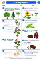 Grouping Of Plants Third Grade Science Worksheets And Plant Worksheets 3rd Grade - Plant Worksheets 3rd Grade