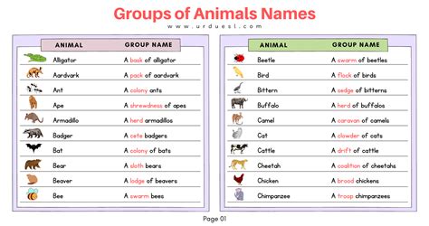groups of animals names