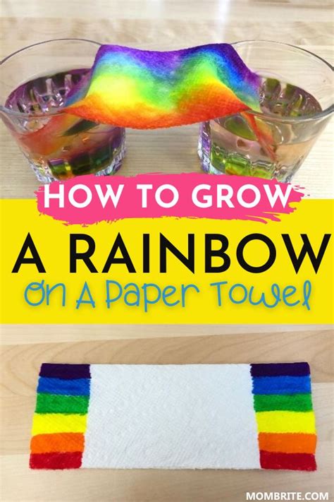 Grow A Rainbow Paper Towel Experiment And Science Paper Towel Science Experiment - Paper Towel Science Experiment