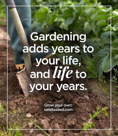 Grow Your Own Quot Secret Garden Quot As Secret Garden Colouring Book Ideas - Secret Garden Colouring Book Ideas