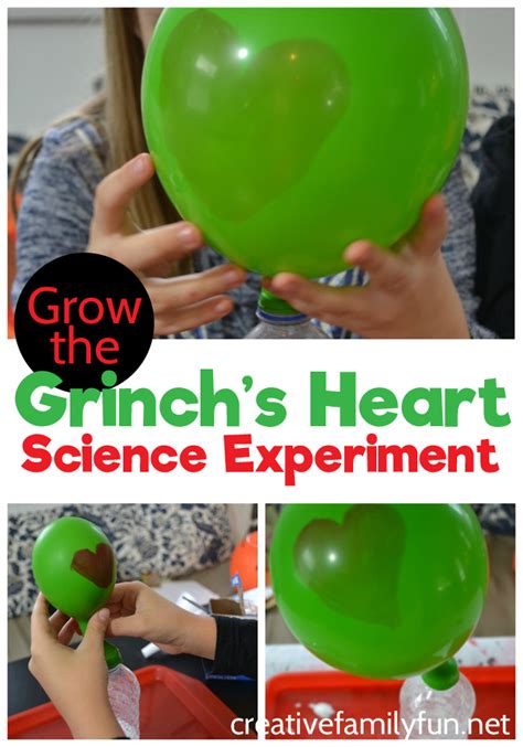 Growing A Grinch Heart Science Experiment Fun With Heart Science Experiment - Heart Science Experiment
