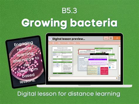 Growing Bacteria In The Lab Distance Learning Growing Bacteria Lab Worksheet - Growing Bacteria Lab Worksheet