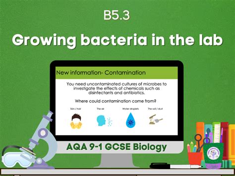 Growing Bacteria In The Lab Gcse By Cmgs Growing Bacteria Lab Worksheet - Growing Bacteria Lab Worksheet