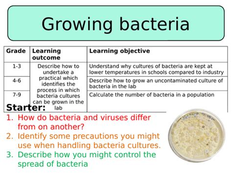 Growing Bacteria New 2016 Gcse Teaching Resources Growing Bacteria Lab Worksheet - Growing Bacteria Lab Worksheet