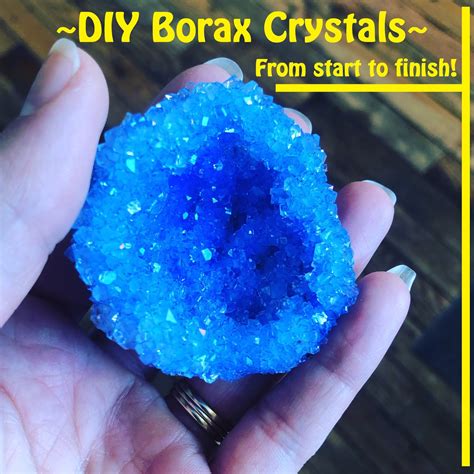 Growing Borax Crystals A Homeschool Science Project Science Growing Crystals - Science Growing Crystals