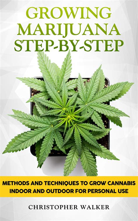 Growing Marijuana Step By Step