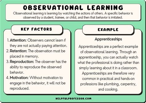 Growing Observational Skills Science Learning Hub Science Observation Activities - Science Observation Activities