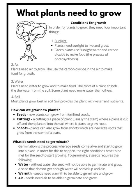 Growth Needs Of Plants 5th Grade Science Varsity Worksheet On Plant 5th Grade - Worksheet On Plant 5th Grade