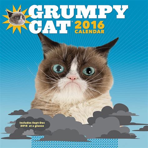 Grumpy Cat 2016 Wall Calendar