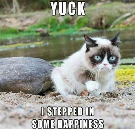 Grumpy Cat Memes