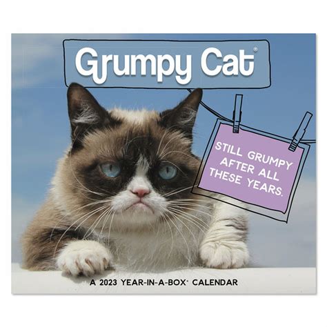 Grumpy Cat Year In A Box Calendar (2017)
