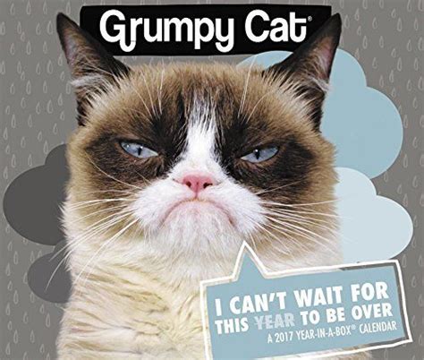 Full Download Grumpy Cat Year In A Box Calendar 2017 