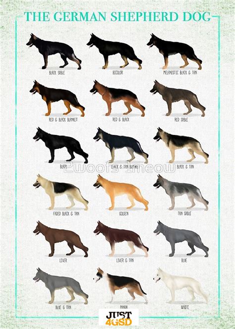 gsd colors