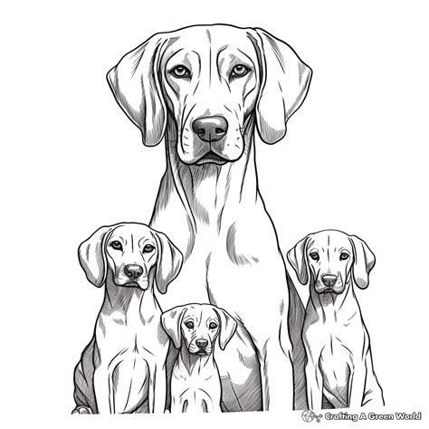 gsp coloring