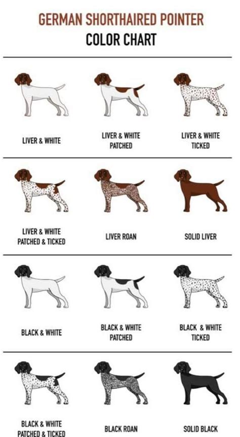 gsp colors