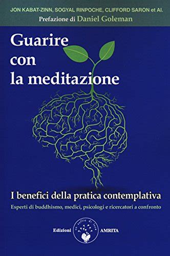 Download Guarire Con La Meditazione I Benefici Della Pratica Contemplativa 