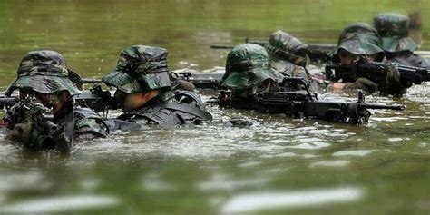 Guerilla Warfare