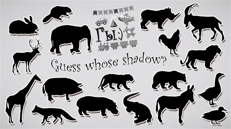 Guess Whose Shadow