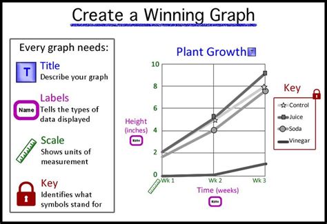 Guessing The Graph Science Experiment Graph - Science Experiment Graph