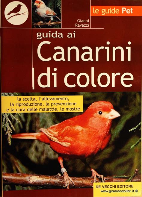 Download Guida Ai Canarini Di Colore 