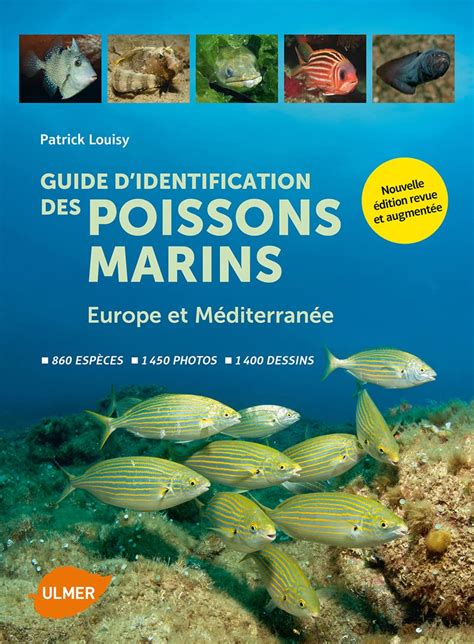 Guide D Identification Des Poissons Marins Europe