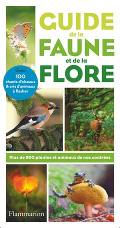guide de la faune et de la flore littorales des m