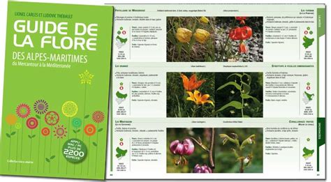 Guide De La Flore Des Alpes