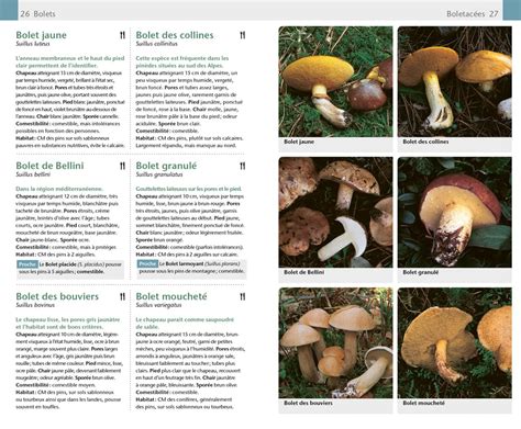 guide illustra c des champignons toxiques les pri
