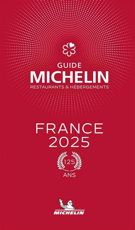 guide michelin france 2009