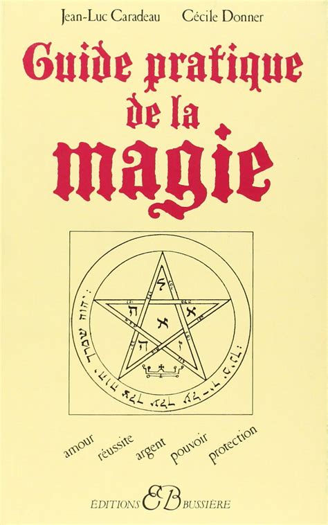 guide pratique de magna c tisme et de sophromagna
