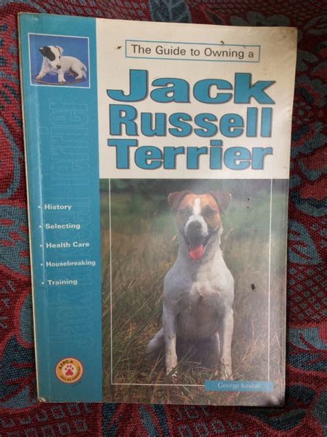 Guide To Owning A Jack Russel Terrier Puppy Care G