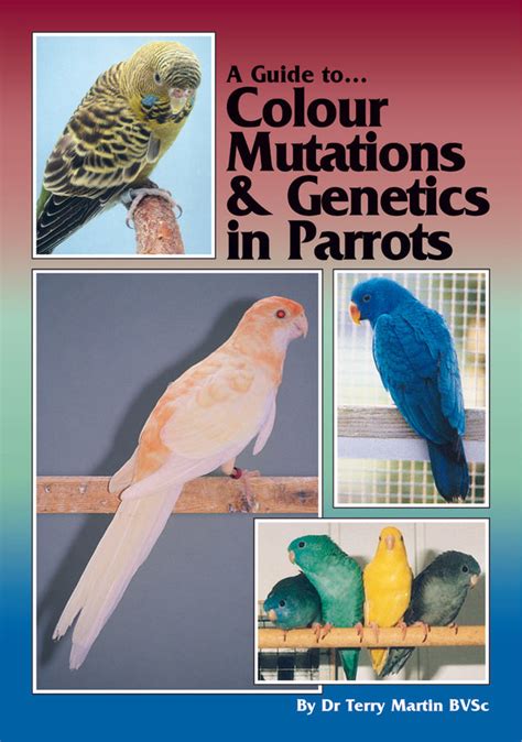 Read Guide Colour Mutations Genetics Parrots 
