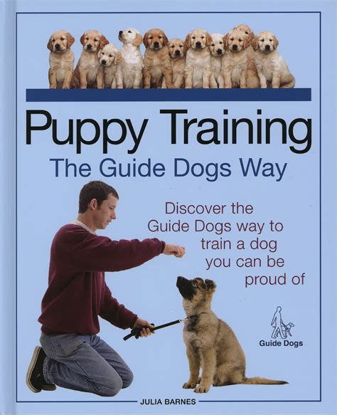 Read Online Guide Dog Training Manual 