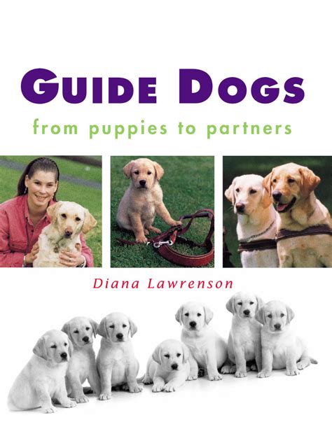 Read Guide Dogs From Puppies To Partners 