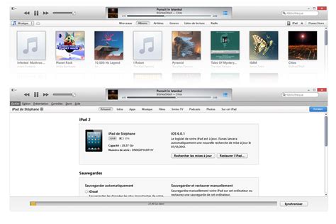 Full Download Guide Itunes Francais 