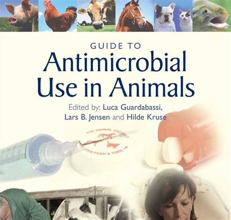 Read Online Guide To Antimicrobial Use In Animals 