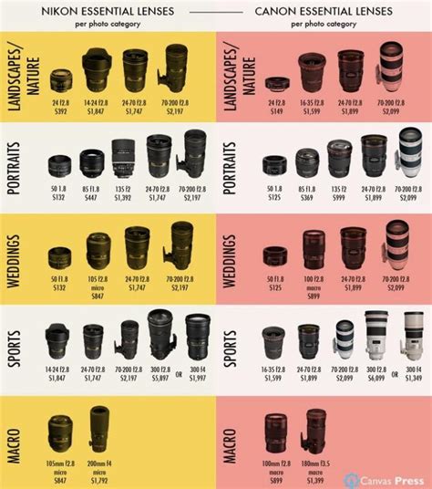 Full Download Guide To Dslr Lenses 
