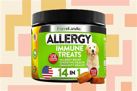 Guide to The Best Allergy Treatments for Dogs