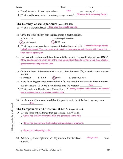 Full Download Guided And Study Workbook Answer Key 