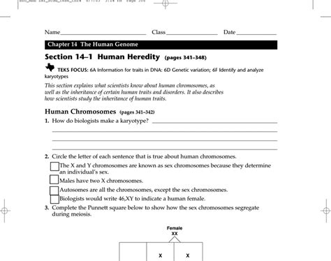 Full Download Guided And Study Workbook Human Heredity Key 