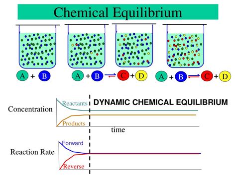 Read Guided Chemical Answers Reaction Rates And Equilibrium 