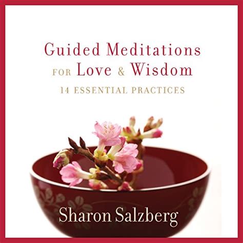 Download Guided Meditations For Love And Wisdom 