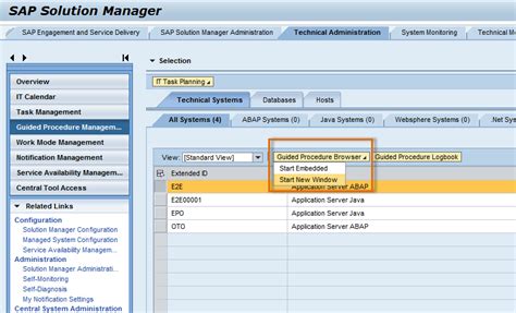 Read Online Guided Procedure For Sap Solution Manager Configuration 