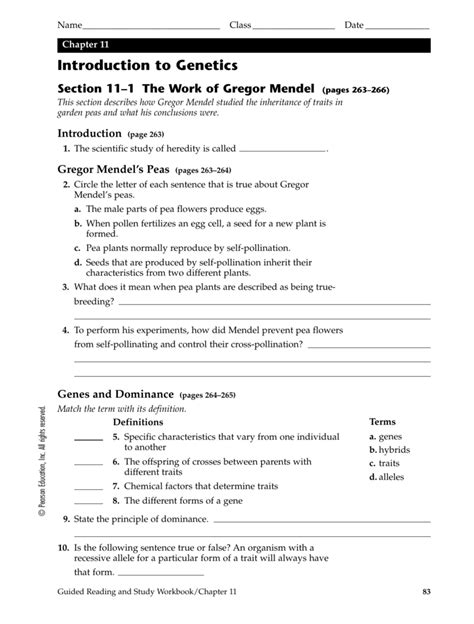 Read Guided Reading And Study Workbook Chapter 11 