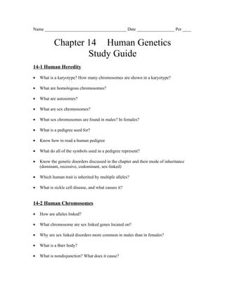 Read Online Guided Reading And Study Workbook Chapter 14 Human Heredity Answers 