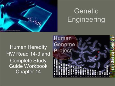 Read Online Guided Reading And Study Workbook Chapter 14 The Human Genome 