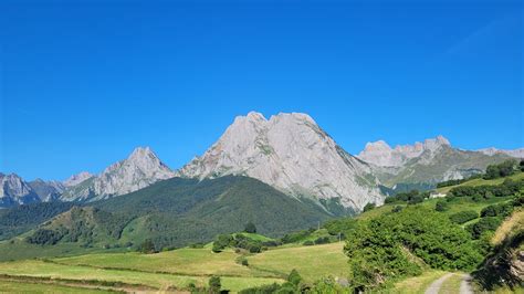 Download Guided Section 2 