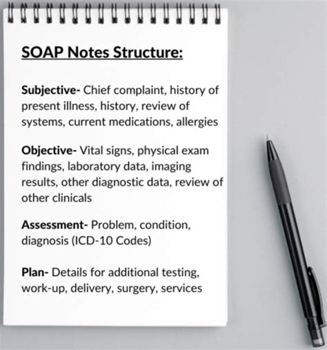 Download Guidelines And Examples On The Soap Format For Chart Notes 